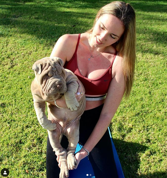 6900454.png (783 KB)