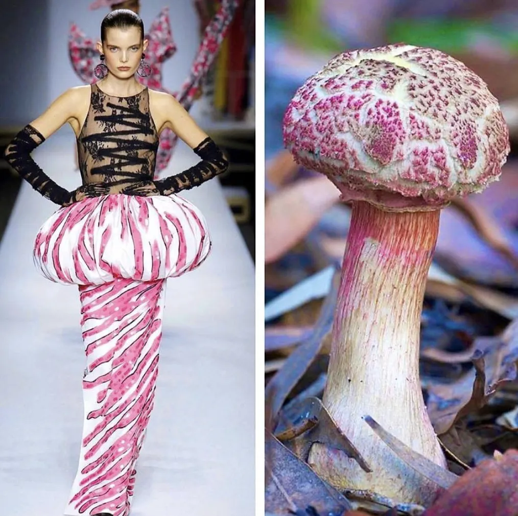 13snimok-ekrana-2021-04-19-v-12-28-05.webp (116 KB)