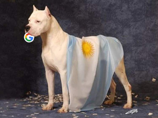 2866e30de-f127a296518eb16fb34aaeccfe560ef8.jpg (75 KB)