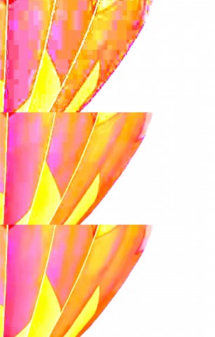 3eBYtJPrTSSo8RBxz2lv6x8EIqBjGfuD.jpg (28 KB)