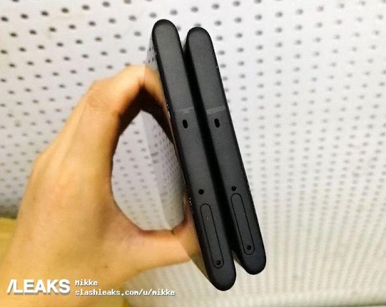 42369305.jpg (137 KB)