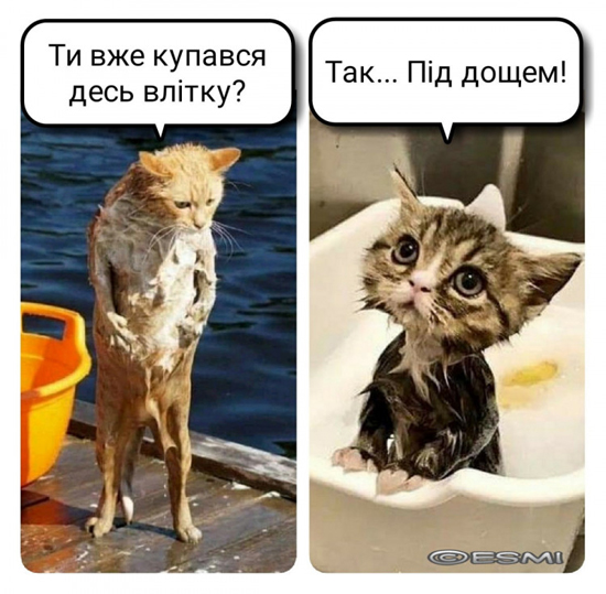 4t84dpNGOl90dK9nl39Nw12bpZfJChRPuGNnSa3fH.jpg (200 KB)