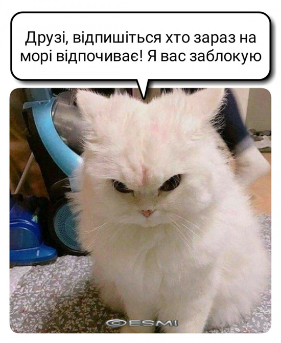 7V5wCD56XH6rioTkVKJEgWLYMJbjGwxr6v6qbLkr4.jpg (222 KB)