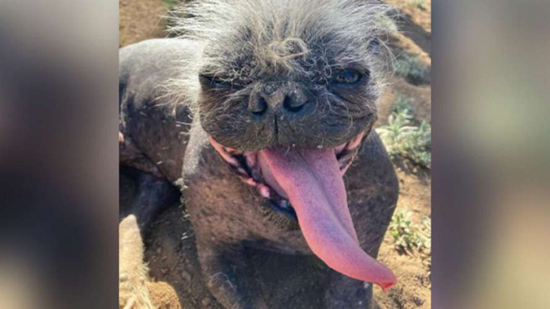 1890_450_62bb21c09a997.jpg (116 KB)