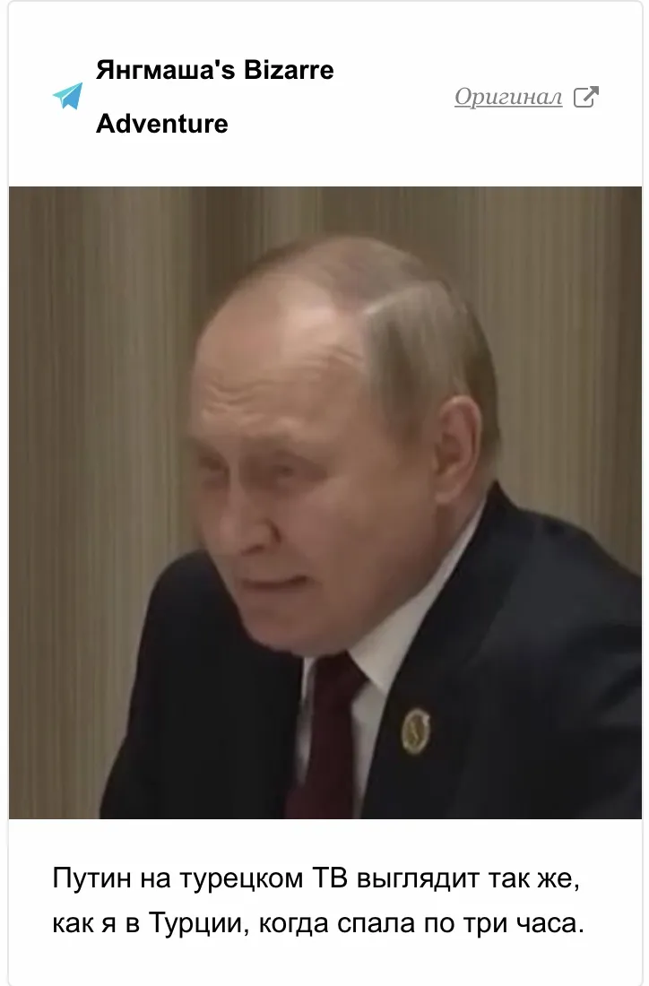 1img9396.webp (22 KB)