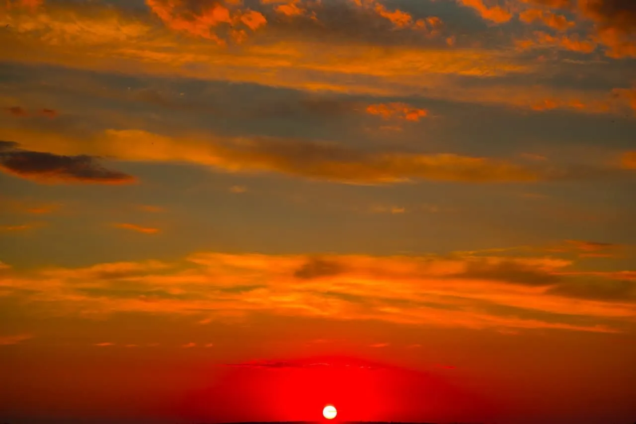 28938080722531259481771611351644666180852760n.webp (30 KB)