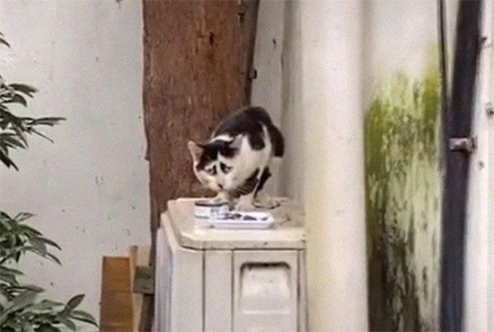 31073634.jpg (150 KB)