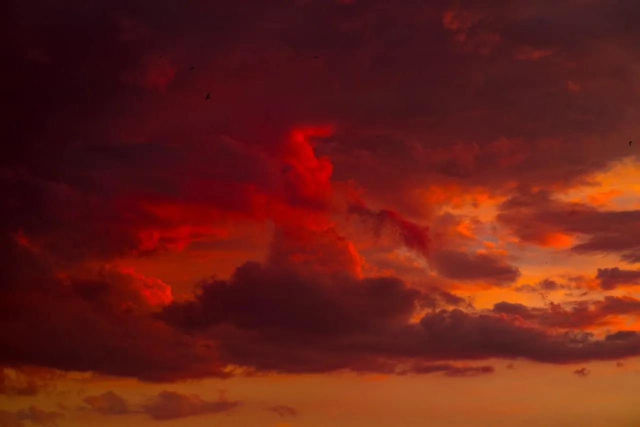 328969212622531260148438214633233234690245218n.webp (24 KB)