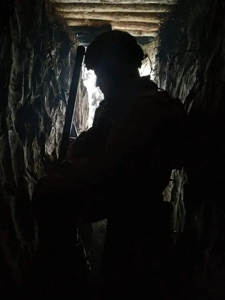 3291665873353298556983229685672617344770406n.webp (29 KB)