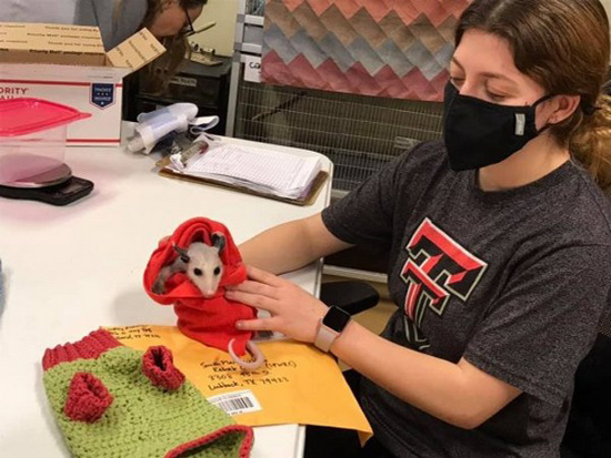 41072325.jpg (144 KB)