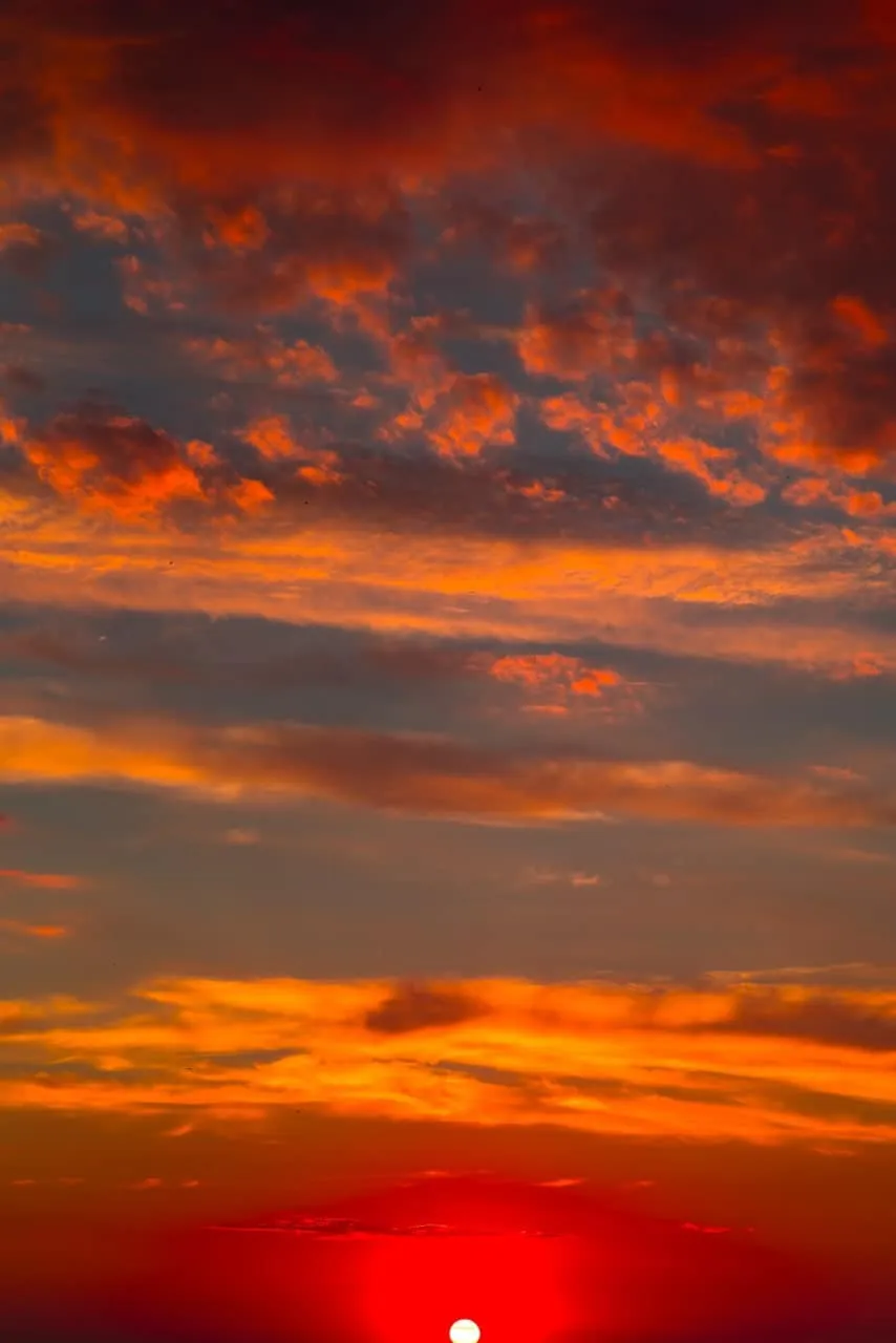 428960301922531260781771482589552558990830168n.webp (37 KB)