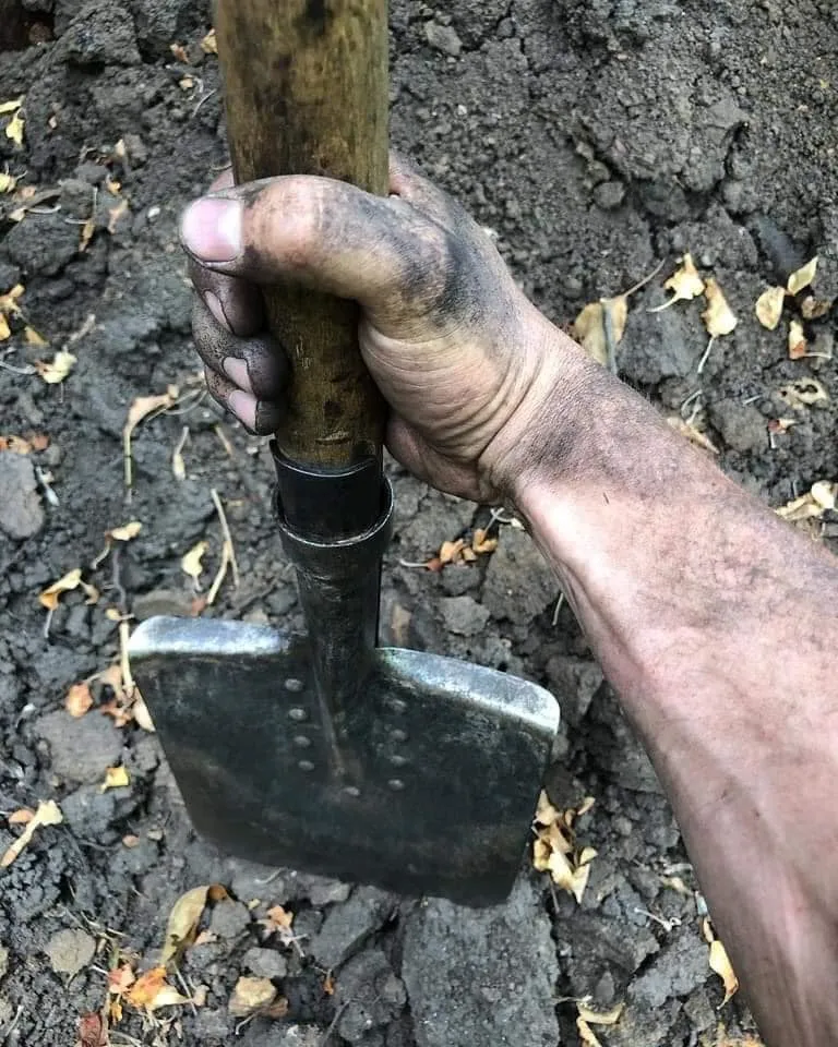 42915263523532984903165696089063743995776572n.webp (127 KB)