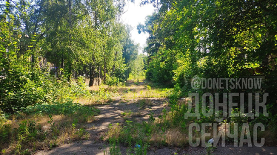 251ebd2739638806caf8759338929d1d9.jpg (239 KB)