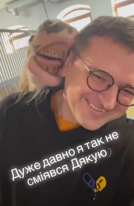 3c1fd3159f5f9e0b2d9db6ed54124d44.webp (22 KB)