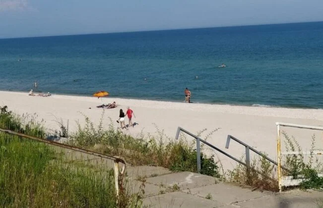 5screenshot_32-6-920x594-1-651x420.webp (44 KB)