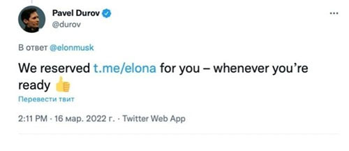 6елона11.jpg (23 KB)