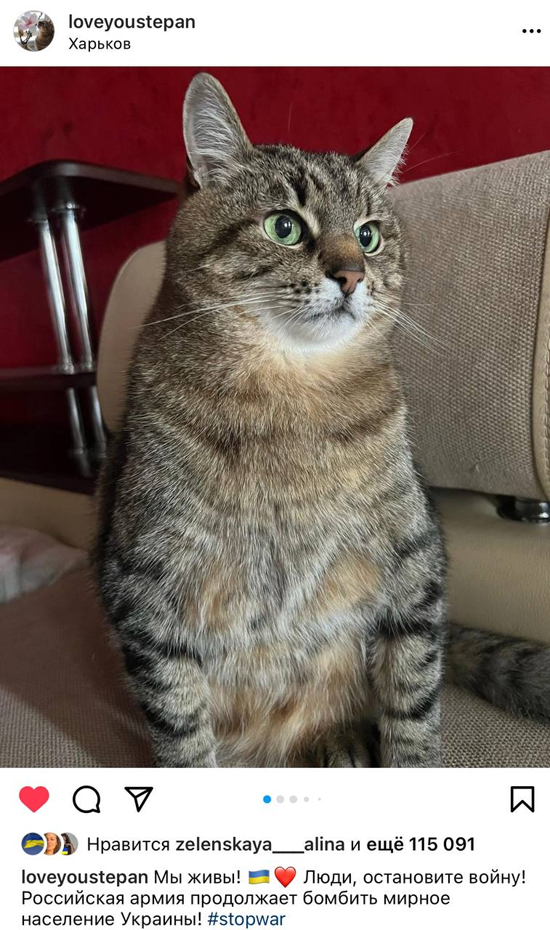 image-1.png (652 KB)