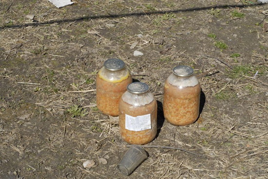 1278128566_7504376126239974_6048300325378218783_n.jpg (221 KB)