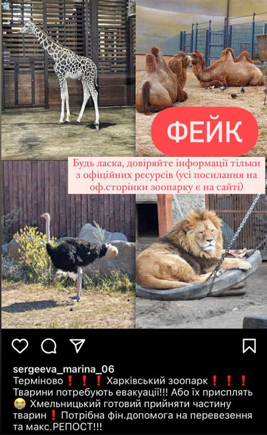 1e1f6156b-309b-4956-815d-d87b62efe4a7.jpg (225 KB)