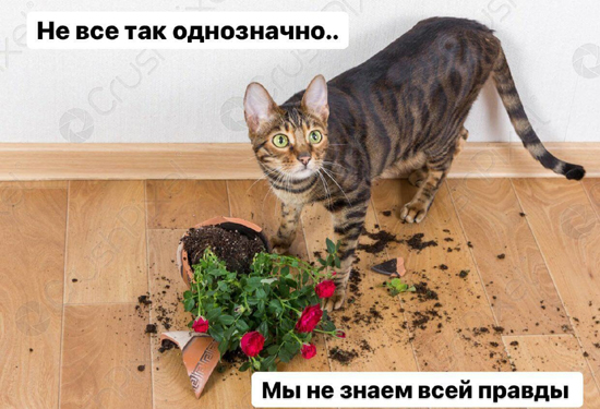 8d6d61246154127f5ba95927a83adb92a.jpg (194 KB)