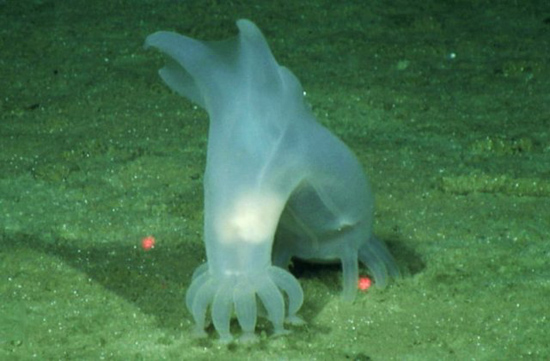 1aux-1661238532-08209be28db575be9e614b47ca0917261082bc12.jpg (101 KB)