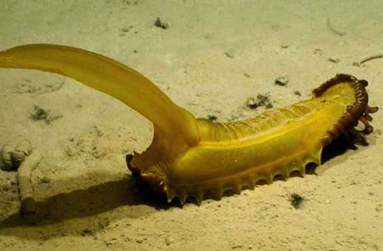 2aux-1661238532-96d7fe9af967b9e9d6047846861ba12ff2a597c5.jpg (107 KB)