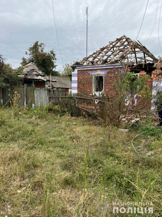 31110849_3_w_1000.jpg (363 KB)