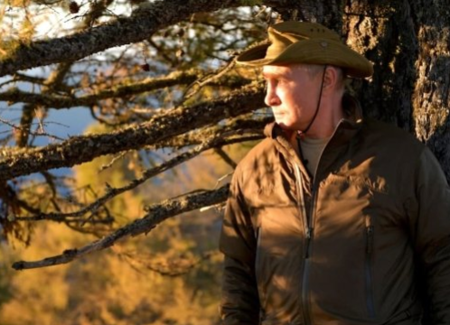 1screenshot_11-20.png (505 KB)