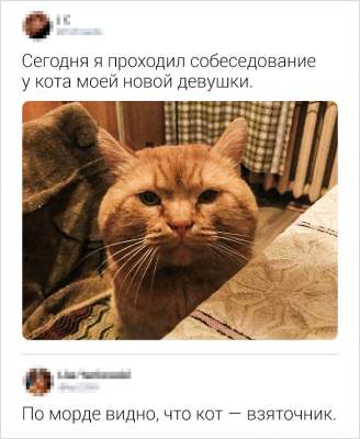 51545581760_kommentarii3.jpg (22 KB)