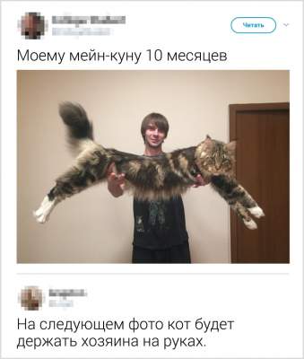 56437642.jpg (15 KB)