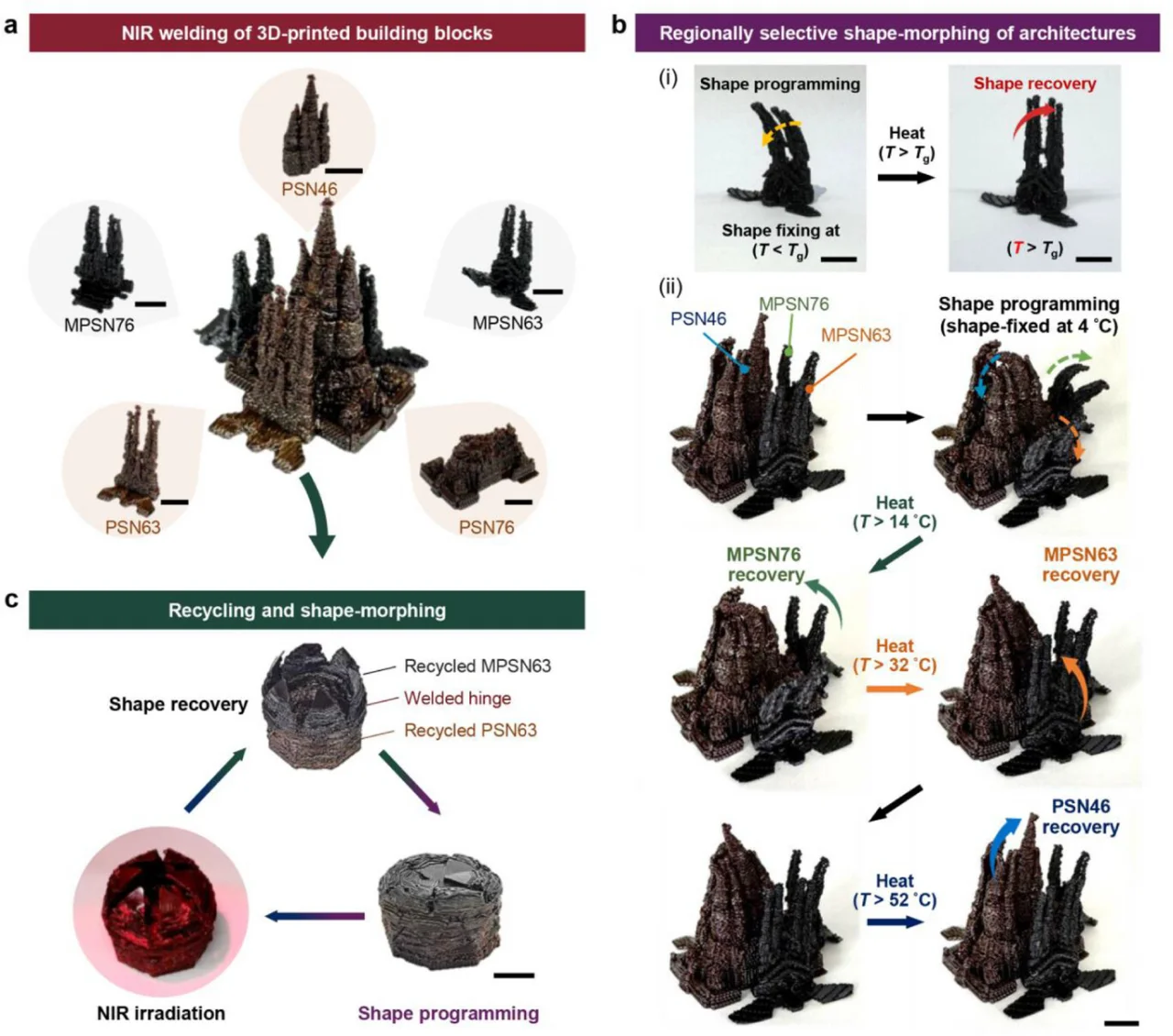 45217f75c649437b6ea191600498bd54.webp (116 KB)