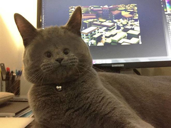 6769016_big.jpg (60 KB)