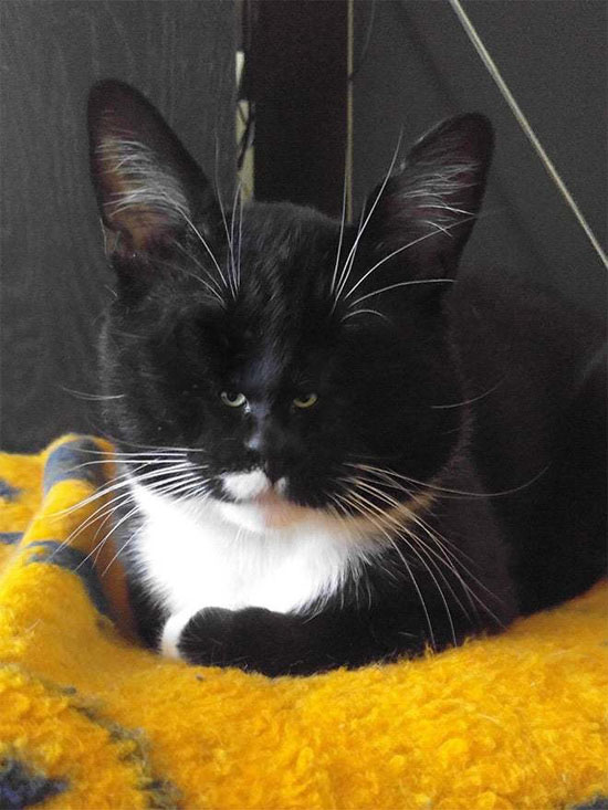 8769020_big.jpg (91 KB)