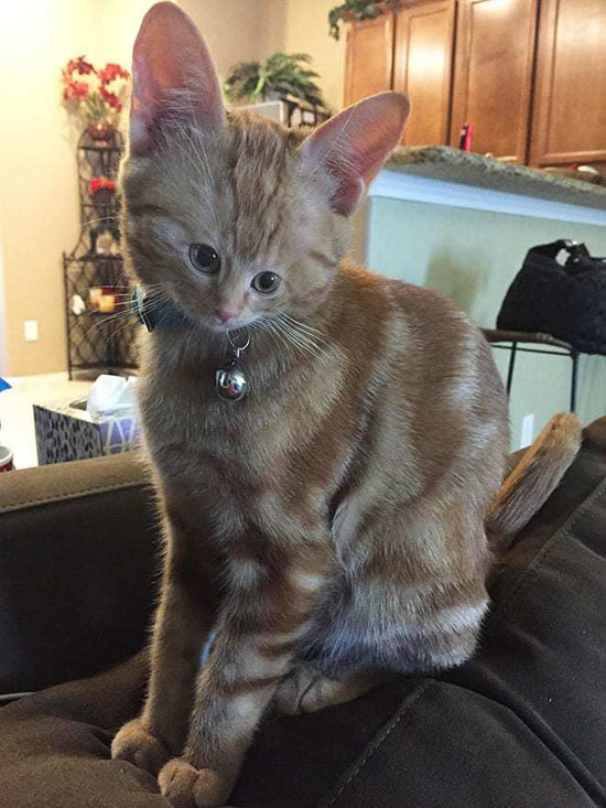 9769021_big.jpg (105 KB)