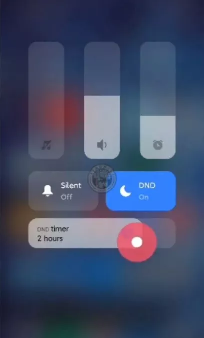 x1605954877_screenshot_647.jpg.pagespeed.ic.uj2aKaA3IY.webp (6 KB)