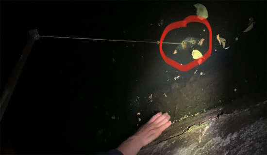 1Wa0BufmrZogj18ZQrQQVz1uKIAd2K.png (197 KB)