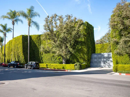 311111image.jpg (224 KB)