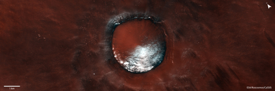 261d80f313620e_1641549617.jpg (80 KB)