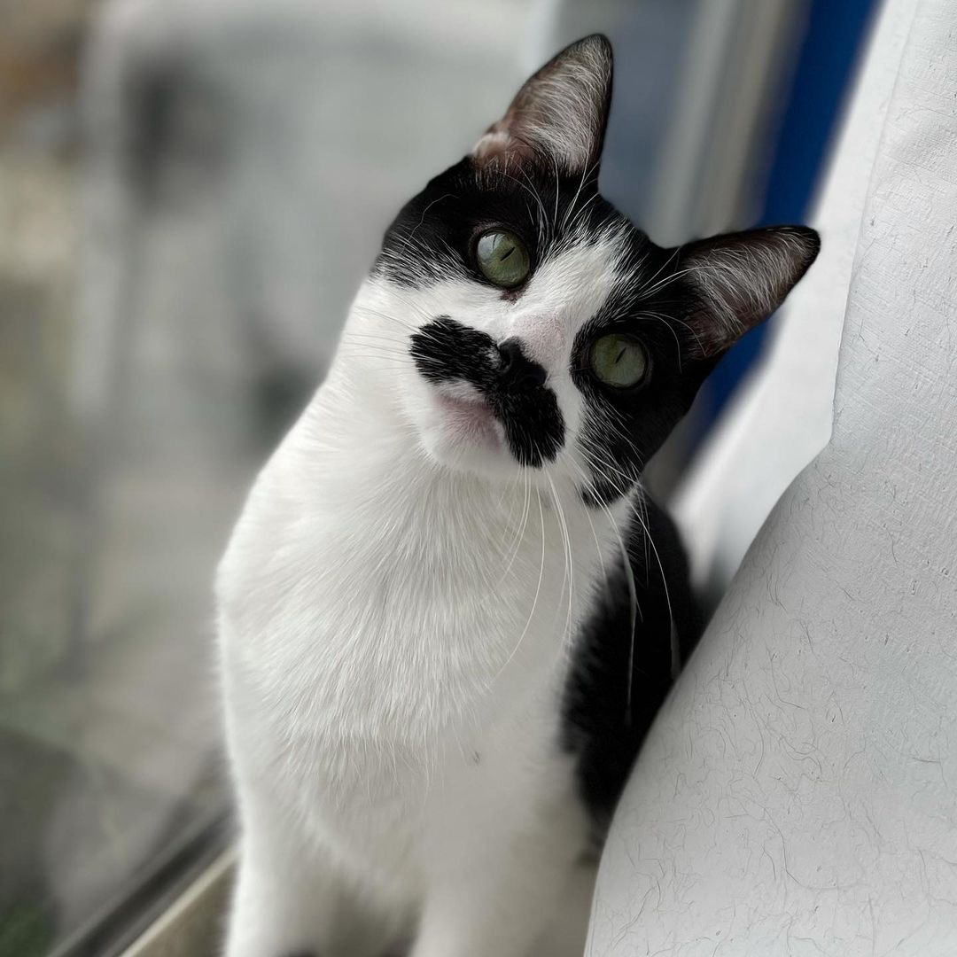 28e0c87b9e6cb91bfa4d4dc23f326b3bb.jpg (117 KB)