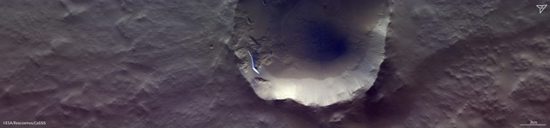 461d80f3227465_1641549618.jpg (55 KB)