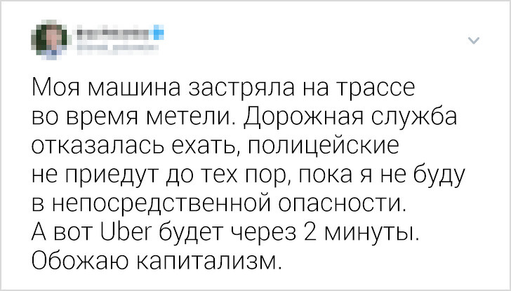 7986441.jpg (404 KB)