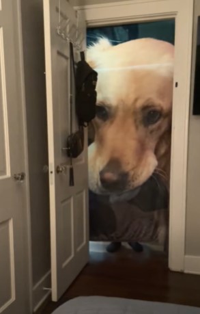 a1e56f3a3d50d446298db6491dc5f7c7.jpg (22 KB)