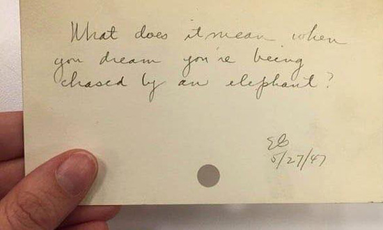 431f8d98e-e517-688f-9f97-256b30003cd4..jpg (53 KB)