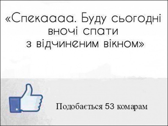 1000090x6Nz39gQQa2gYa7AMuiPs2oBxRSo9cuPwkWihQ.jpg (55 KB)