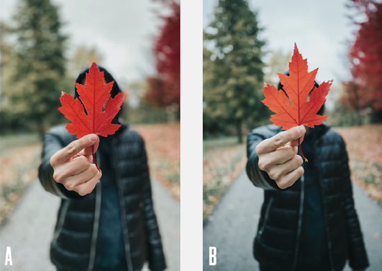 374CFCF08-FC7D-4E47-9666-AD4A72ACBBD5.jpeg (138 KB)