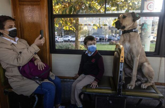 1FP6EMUyN4bKxteFykVPworUagp6q5WcAvbgz8IWc.jpg (90 KB)