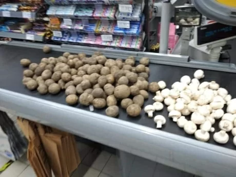 266689562_1975597002619992_1457797565170375145_n-e1639743602873.webp (25 KB)