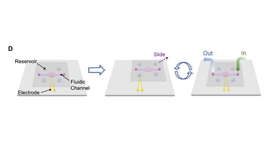 jft9s8erjgosjgt.JPG (38 KB)