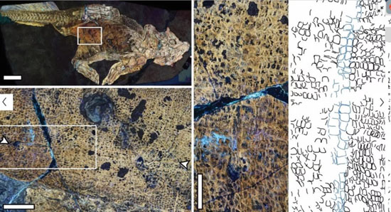 1aux-1654771453-this-screen-grab-of-a-1-1024x554.jpg (91 KB)