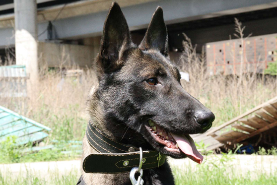 2ж2(2).jpg (189 KB)